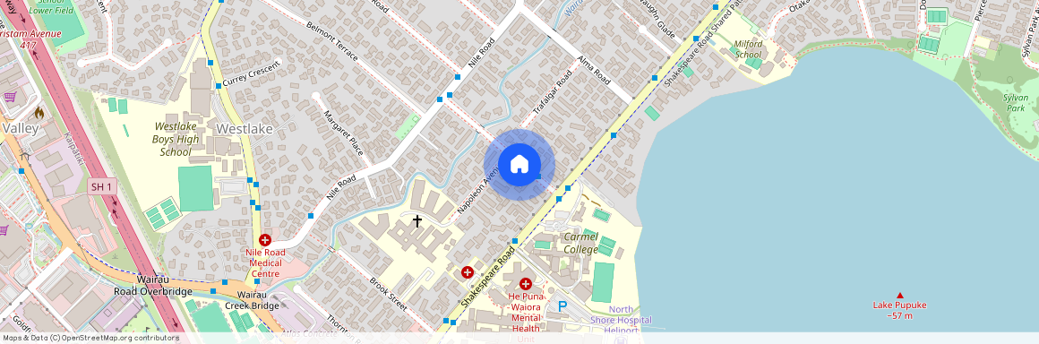 1/4 Waterloo Road, Milford, NZ 0620