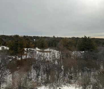 For Lease - 385 Arctic Red Drive Unit# 424, Oshawa, Ontario - Photo 5