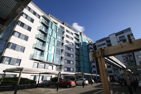 studio apartment to rent - Photo 2