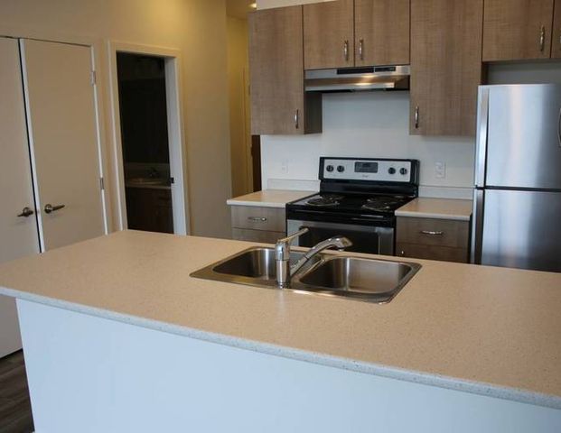 1 Bedroom & bathroom Apartment - Great Location! | 1865 Salton Road, Abbotsford - Photo 1