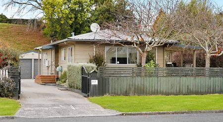 Tidy Three Bedroom Home in Te Awamutu - Photo 3
