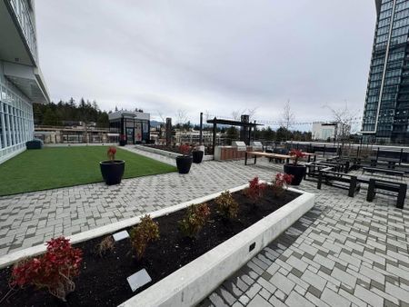 505 Nelson Street #150X, Coquitlam, BC V3J0R5 - Photo 2