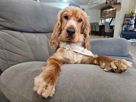 Palm Beach - Photo 5