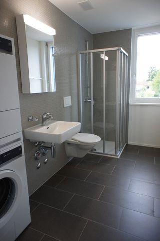 3 ½ Zimmer-Wohnung in Schwerzenbach mieten - Photo 3