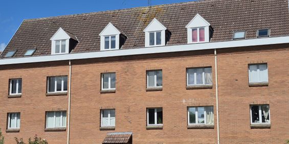 Location Appartement 1 pièce 33m² LILLE 59160 - Photo 3