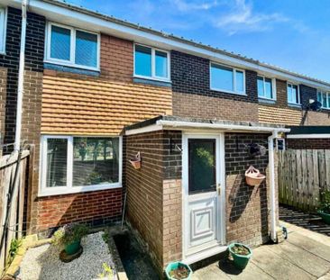 3 bedroom terraced house to rent - Photo 2