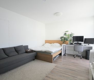 Möbliertes 1-Zimmer-Appartement in Toplage! - Foto 6