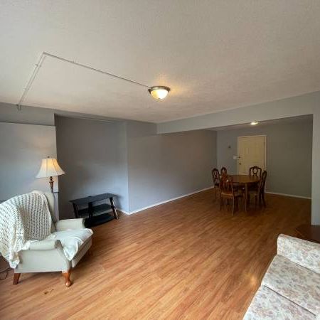 Spacious 2 bedroom suite +garden+laundry+parking - Photo 4