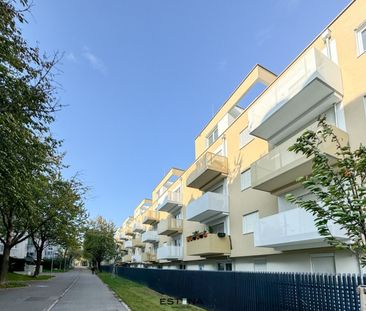 Wohnung in Ruhelage mit Balkon - Leberberg - Photo 5