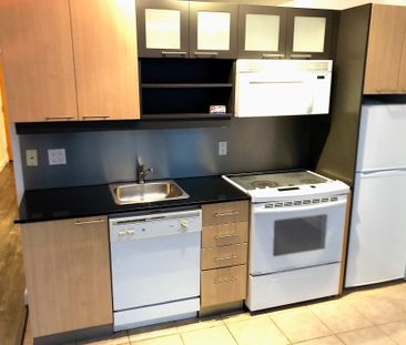 THE SOHO METROPOLITAN: King St W & Blue Jays Way AD#000633 - Photo 4