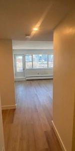 1 CH - 1 SDB - Montréal - $1,400 /mo - Photo 3