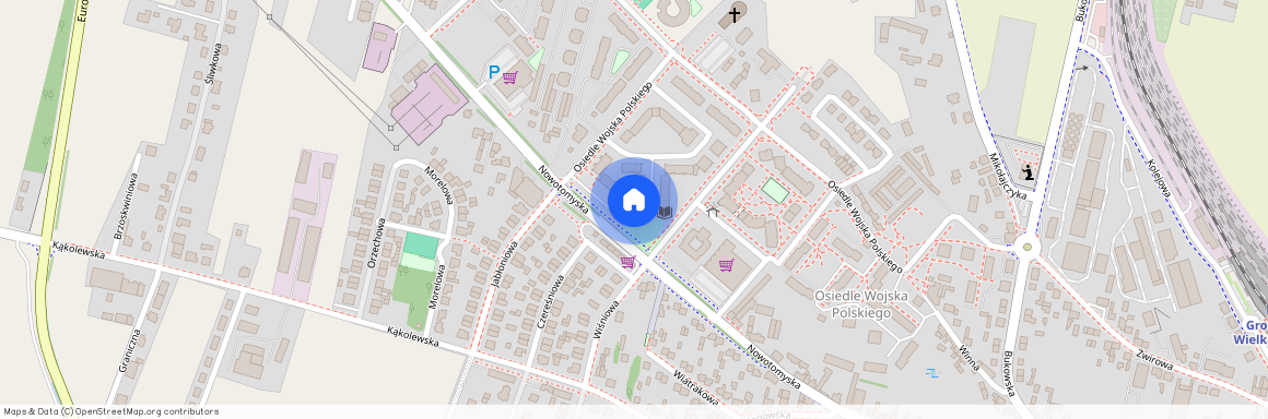 Grodzisk Wielkopolski, Grodzisk Wielkopolski, grodziski, wielkopolskie