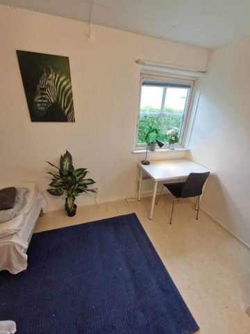 Granviksgatan, Malmö - Foto 5