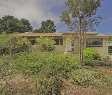 78 Pennefather Street, Higgins ACT 2615 - House For Rent | Domain - Photo 3