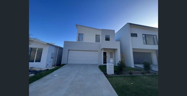 Modern 4-Bedroom Home in Azure Estate, Buderim/Maroochydore - Photo 1