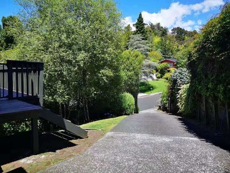 Sun Drenched House with Privacy - Move in Ready - Photo 3