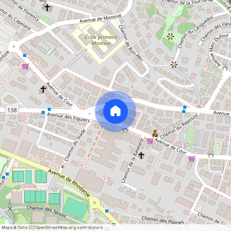 1007, Lausanne, Avenue De Cour, 96