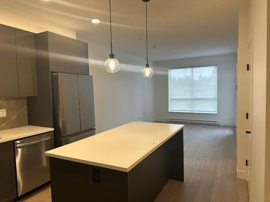 Brand New King + Crescent 1 Bed / 1 Bath - Photo 1