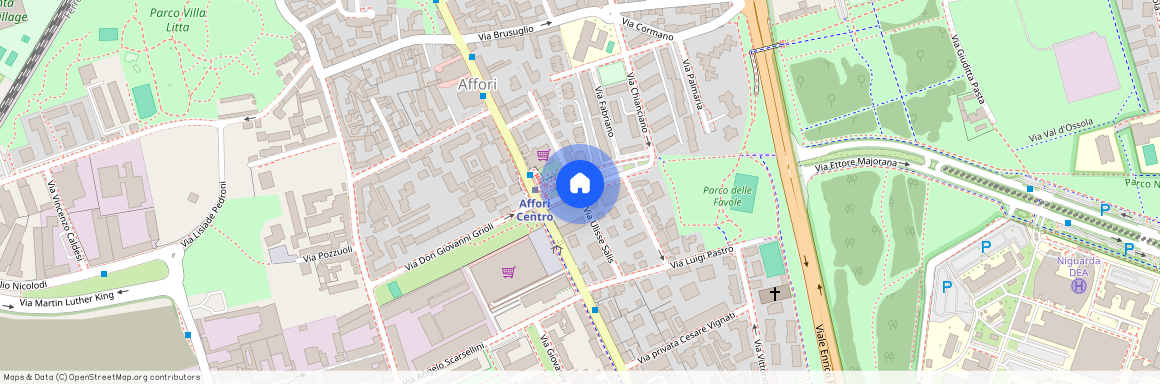 Via Ulisse Salis, Milan, Lombardy 20161