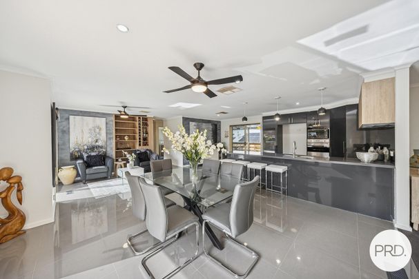 53 Proserpine Circuit, Amaroo ACT 2914 - House For Rent - $950 | Domain - Photo 1