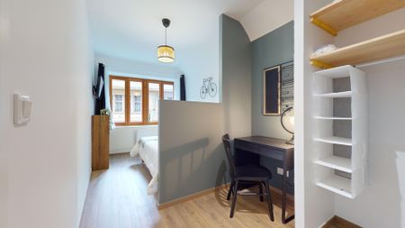 ALSACE LORRAINE Roommate 5 Bedrooms at Lyon 1er - Photo 5