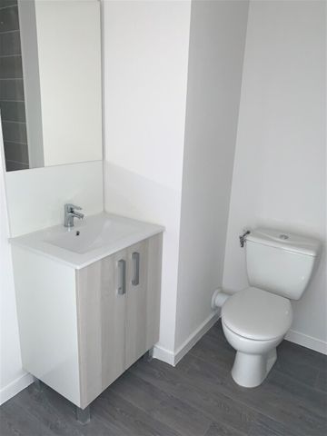 Location Appartement 1 pièce 19m² AUZEVILLE TOLOSANE 31320 - Photo 4