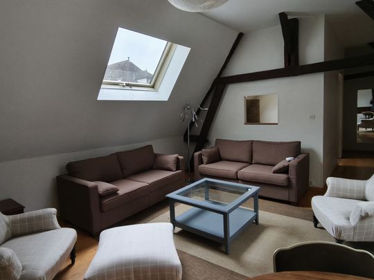 Appartement 46 m² - 2 Pièces - Chartres - Photo 1