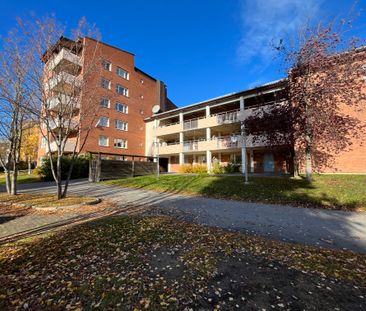 Stackgatan, Skellefteå - Foto 5