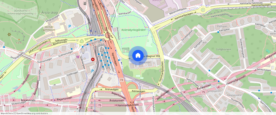 Olaus Magnus väg, Johanneshov