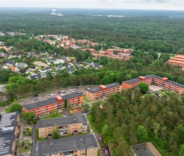 Svedjestråket 19 - Foto 6