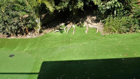 Four bedroom home with amazing views. Includes water, electricity & internet - Photo 3