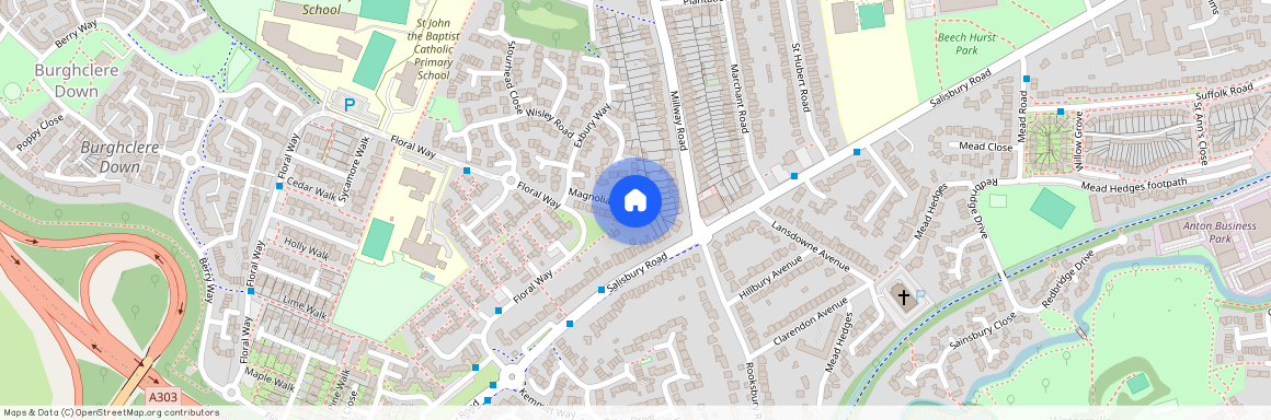 Magnolia Close, Andover, Hampshire