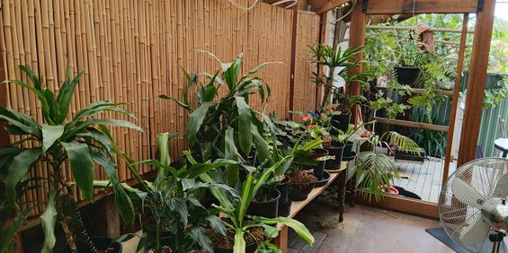 Mordialloc - Photo 3