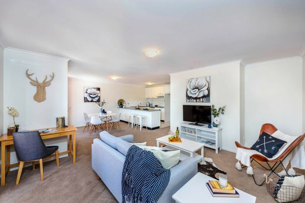 Two Bedroom Apartment in Great Area! - Photo 1