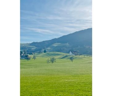 2 Zimmer-Attikawohnung in Hütten (ZH), möbliert, auf Zeit - Foto 5