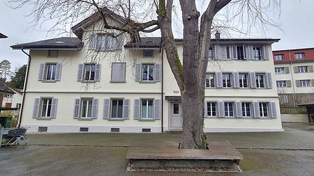 4½ Zimmer-Wohnung in Winterthur - Veltheim, möbliert, auf Zeit - Foto 2