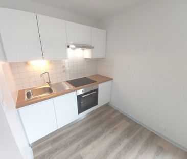 Location appartement 3 pièces 45.02 m² à Saint-Pierre-de-Bœuf (42520) - Photo 6