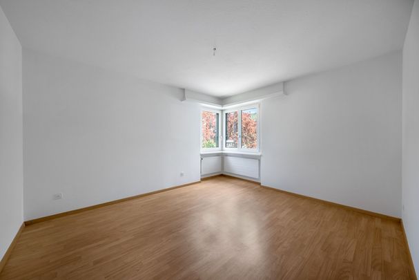 Generous apartment in a quiet location - Foto 1