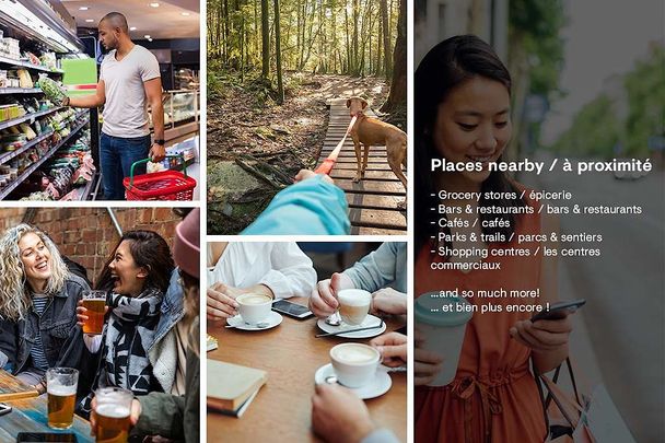 Spacious Apartments for Rent in Côte-des-Neiges (NDG), Montréal at Rockhill Apartments. - Photo 1