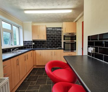 Warburton Gardens, Plymouth - Photo 5