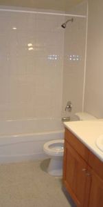 Renovated Bachelor Suite in Mt. Pleasant (Main & 12th) - Photo 4