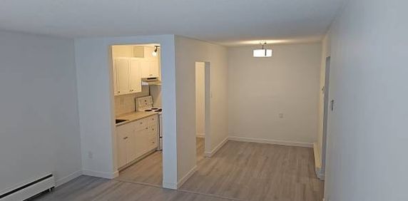 Newly Renovated 1Bed Apt - Photo 2