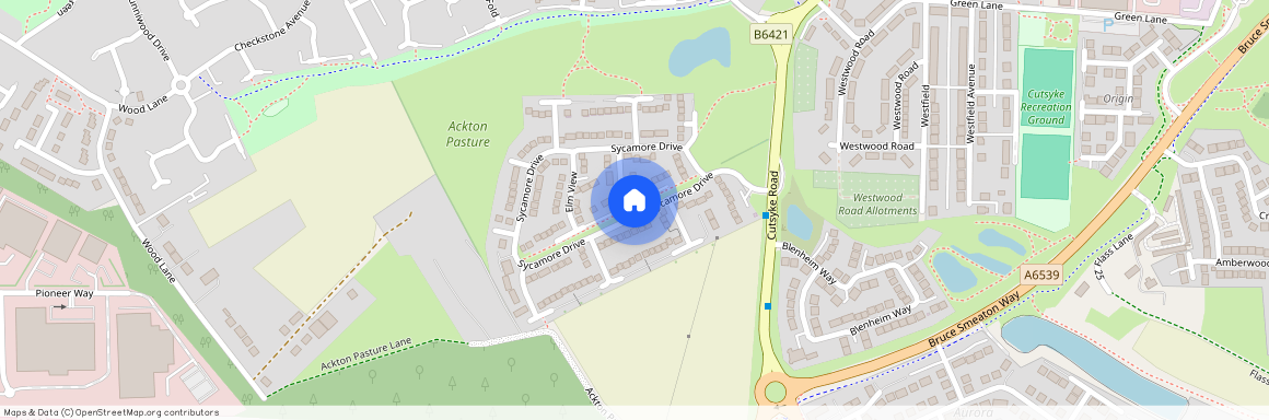 Sycamore Drive, Castleford