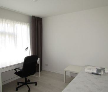 Te huur: Kamer Dasstraat in Eindhoven - Foto 2