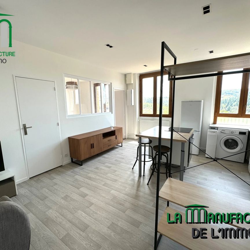F1 MEUBLE TOUT CONFORT - EXPOSE SUD - COTE CHAUDE/ ST-GENEST-LERPT - Photo 1