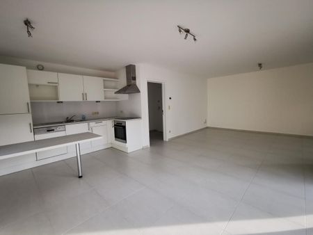 Soignies, Les biens similaires - Photo 3