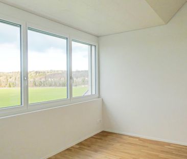 Attraktive 4.5-Zimmer-Attikawohnung an ruhiger Lage mit sonniger Te... - Photo 1