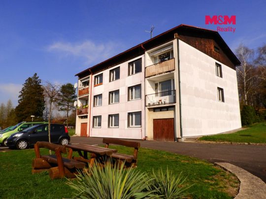 Pronájem bytu 1+1 37 m², Janov - Photo 1