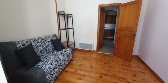 Location Appartement 1 pièce 21m² BRIOUDE 43100 - Photo 2