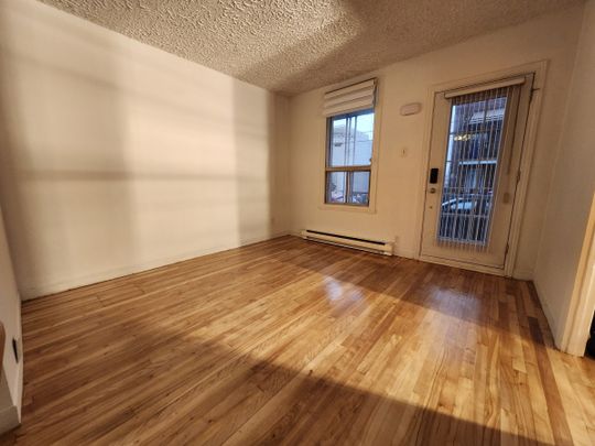 527 Rue Lepailleur - Photo 1